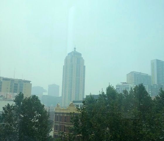 雾霾再次笼罩悉尼 空气污染指数飙升 - 4