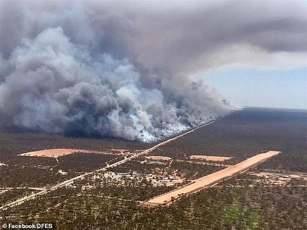 森林大火切断澳洲高速！数百辆车滞留，超市货架被“搬空”！麦当劳：巨无霸都做不出来（组图） - 9