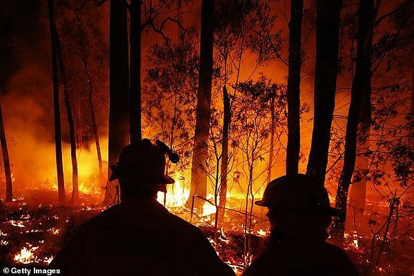 澳洲山火牵动数人心！孩童稚嫩手笔呼吁：“澳人携手挺过难关！”（视频/组图） - 3