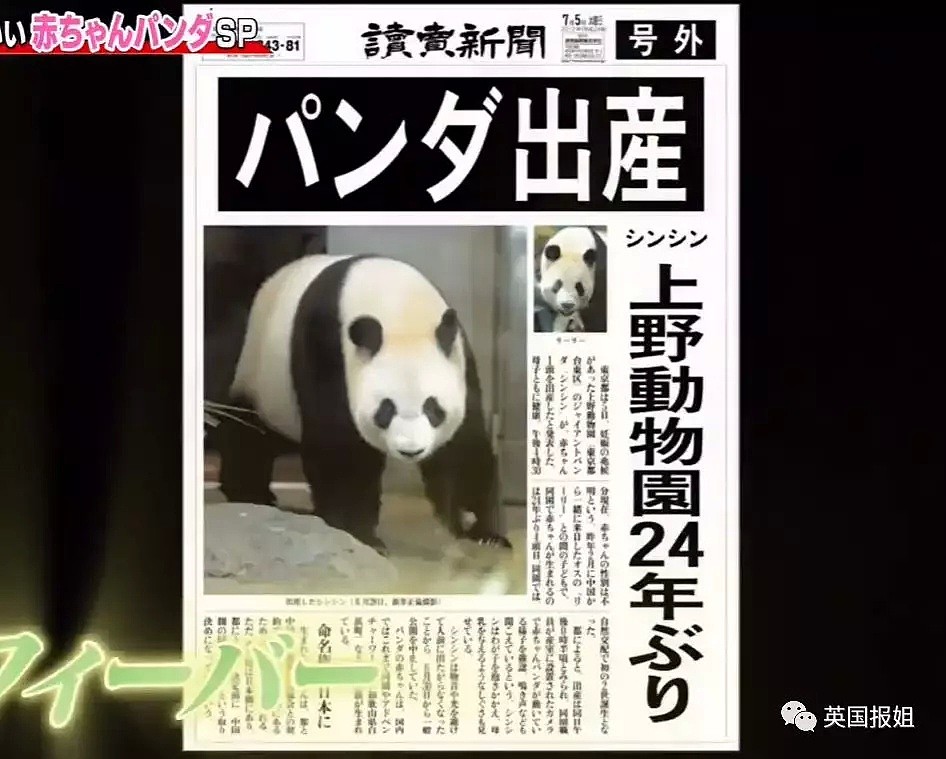 为到中国亲手养熊猫，日本妹子苦练四川话，终圆铲屎梦！（组图） - 18