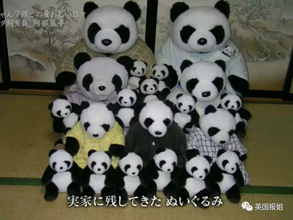 为到中国亲手养熊猫，日本妹子苦练四川话，终圆铲屎梦！（组图） - 49