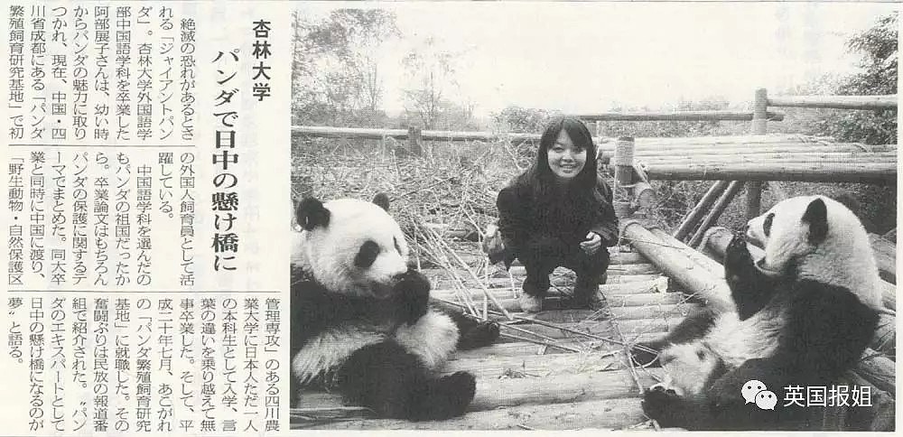 为到中国亲手养熊猫，日本妹子苦练四川话，终圆铲屎梦！（组图） - 50