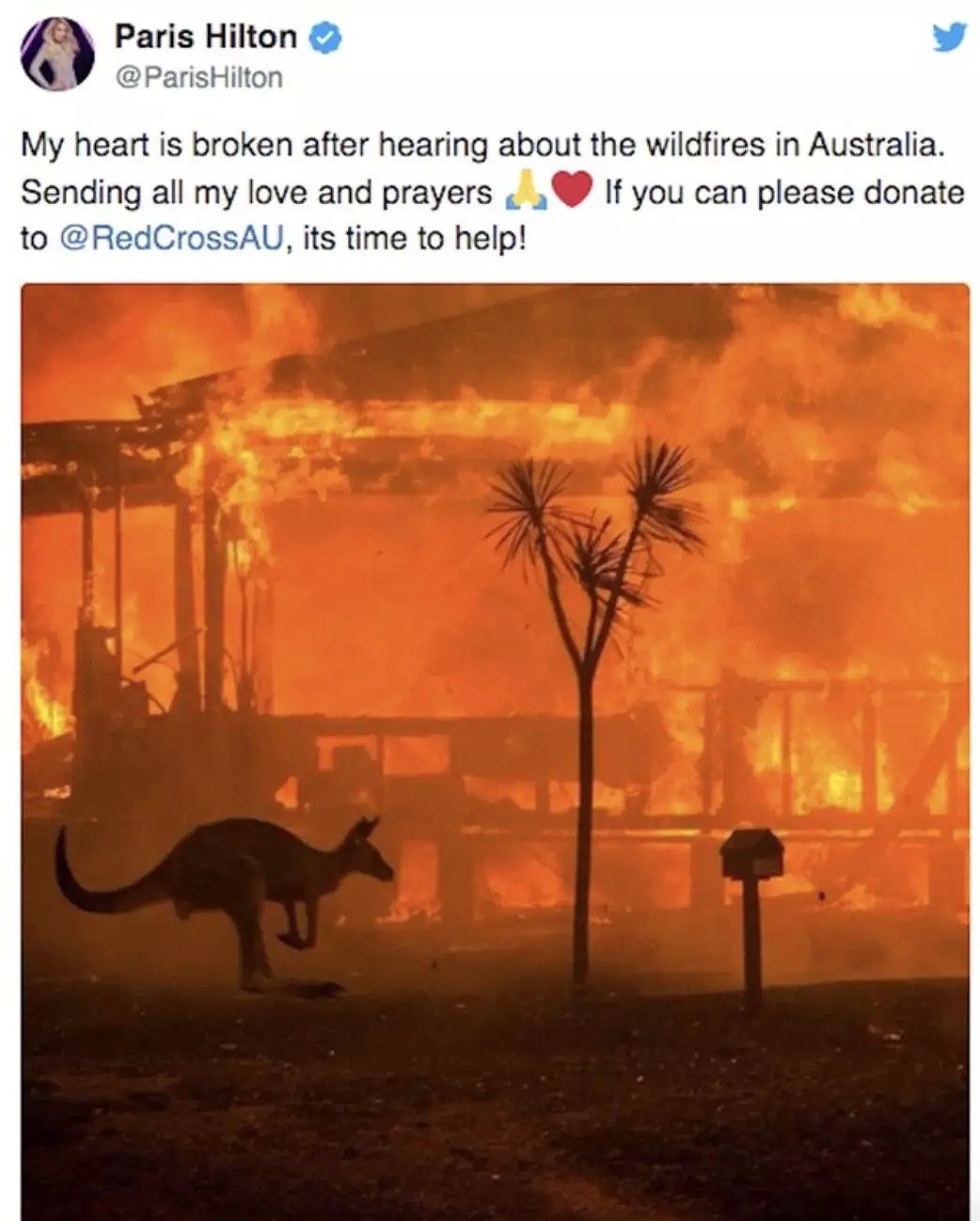 澳洲两小哥逆火冲进灾区！只为救出十几条性命！国难之前，澳洲人性的光辉让全球感动…… - 40
