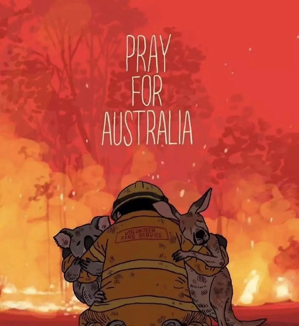澳洲两小哥逆火冲进灾区！只为救出十几条性命！国难之前，澳洲人性的光辉让全球感动…… - 46