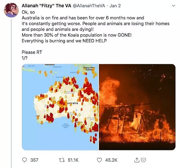那些有关山火的虚假图片，不是对澳大利亚的同情 - 5