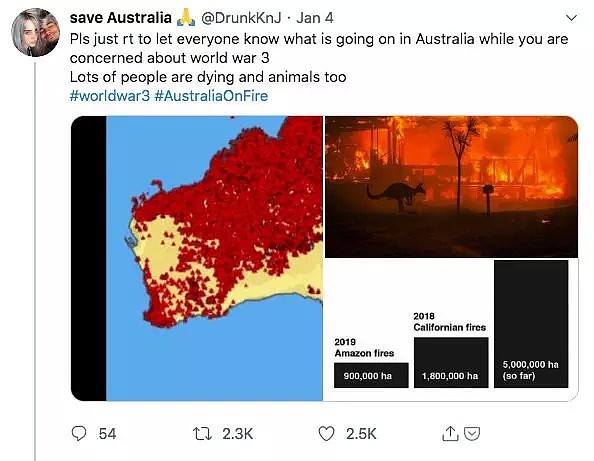 那些有关山火的虚假图片，不是对澳大利亚的同情 - 8