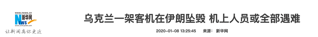 最新！伊朗坠机理由改口！残骸疑有弹孔！伊朗拒交黑匣子，176名遇难者信息公布！特朗普半夜紧急回应，这一切仍疑云重重... - 23