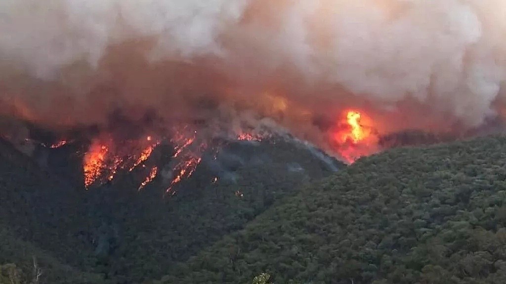 只给5分钟时间撤离！40℃下火情再恶化！维州宣布灾难状态延长！生态恢复需百年 - 2