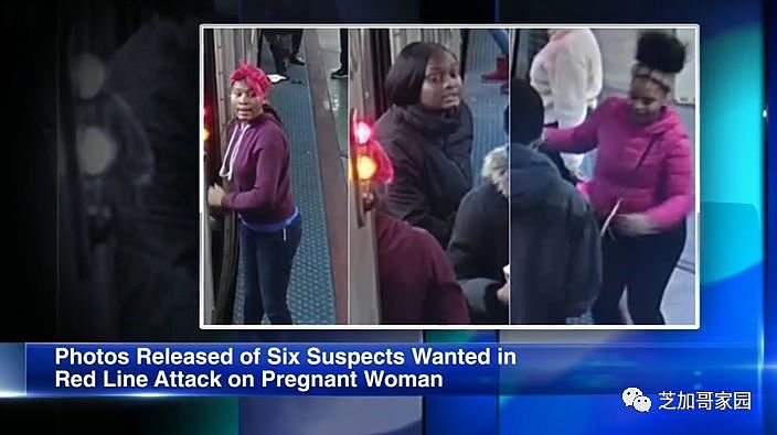 残忍！6屁孩在芝加哥列车上抢劫，踩踏、痛殴孕妇（组图） - 3