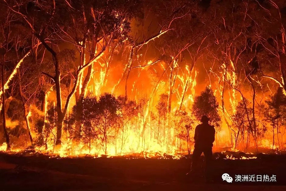 山火不断！蓄意疏忽兼而有之，澳洲逾8成山火是人祸 - 3