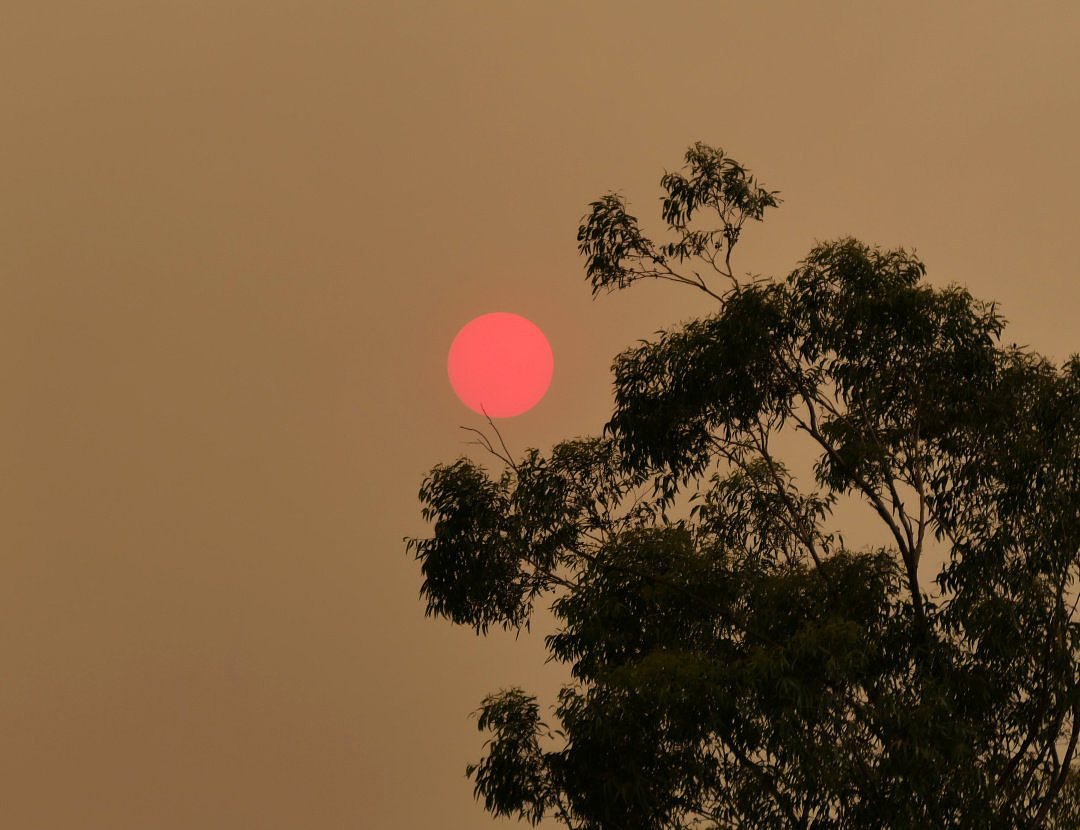 澳洲山火蔓延上千公里 为啥过了4个月还是扑不灭？ - 10
