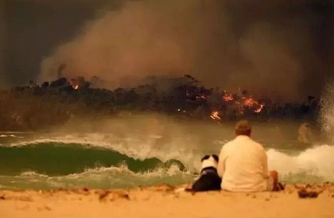 大火过后，全澳都被这张照片刷屏！数万网友疯狂转发 - 1