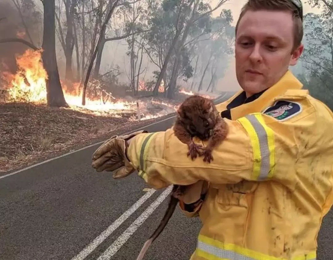 大火过后，全澳都被这张照片刷屏！数万网友疯狂转发 - 29