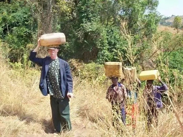 南非惊现 “黑巫术” 猎杀！8头狮子被毒死，穷人遭肢解用于做法…（组图） - 9