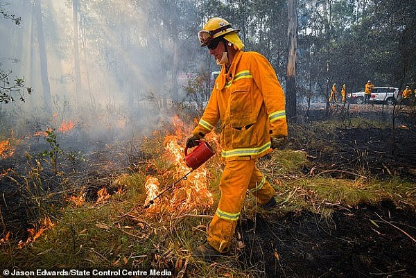 一方有难八方支援！美国消防员出动，支持澳洲战胜山火危机！民众暖心接机掌声不断，“感谢！”（视频/组图） - 8