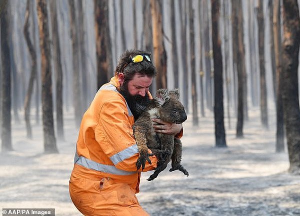 一方有难八方支援！美国消防员出动，支持澳洲战胜山火危机！民众暖心接机掌声不断，“感谢！”（视频/组图） - 9