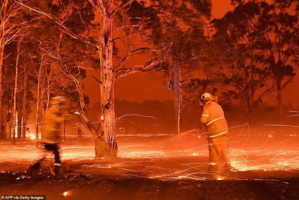 23166804-7871115-Catastrophic_The_current_bushfire_season_in_Australia_has_so_far-a-23_1578621666216.jpg,0