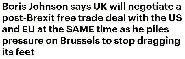 鲍里斯要同时拿下美国和欧盟的自贸协议，嘴硬还是底牌硬？（组图） - 11