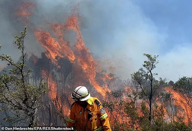惊了！为帮助扑灭澳洲林火，新西兰“网红奶奶”用艳照换捐款…（组图） - 6