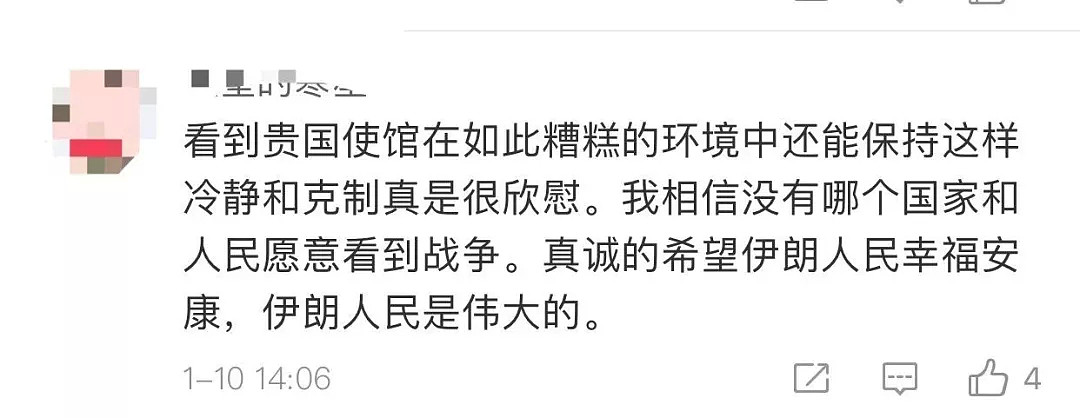 美国伊朗“大战”于中国微博！欢迎收看魔幻现实大剧：决战亮马桥！（组图） - 21