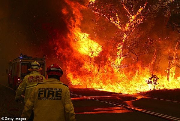 23267984-7875887-Entire_communities_have_been_wiped_off_the_map_due_to_bushfires_-a-3_1578738330638.jpg,0