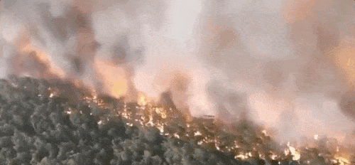 澳洲山火肆虐 莫里森一系列“迷之操作”惹怒民众 - 4