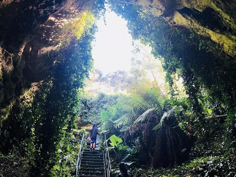 还能去！世界唯一爱丽丝仙境入口，带着仙气的澳洲「洞穴花园」！朋友圈99+赞打卡地！ - 36