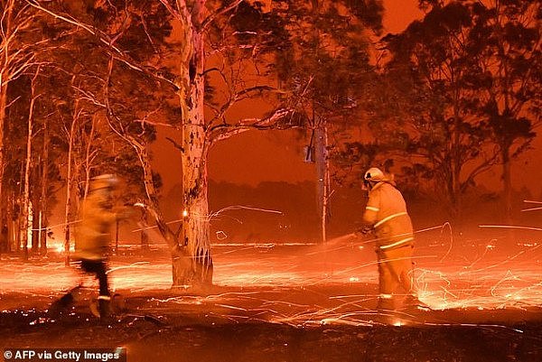 23166804-7877473-Catastrophic_The_current_bushfire_season_in_Australia_has_so_far-a-8_1578788654933.jpg,0