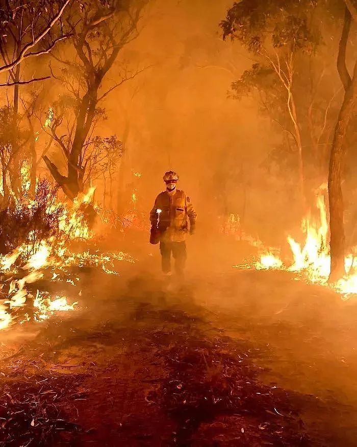 澳洲大火烧四个月，中国山火两天就能扑灭！背后牺牲了多少中国人（组图） - 9
