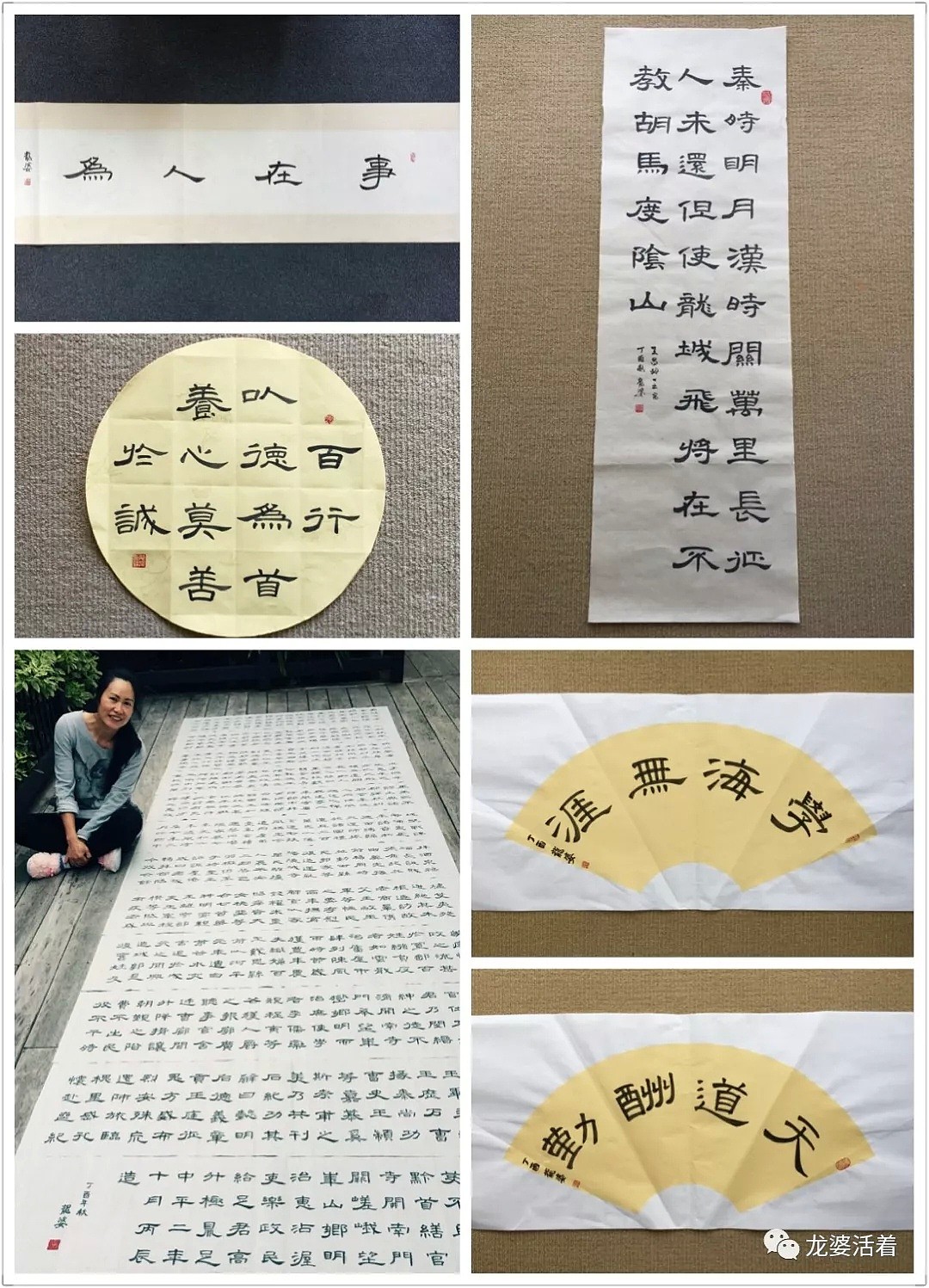 华人姑娘：我在新西兰当了4年农妇，这些是李子柒“没敢播”的真实画面（组图） - 43