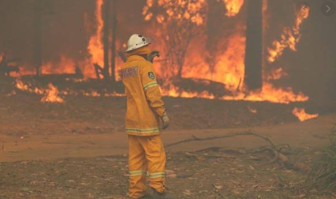 一位澳洲华人消防员在救火前线的尴尬与震撼... - 12