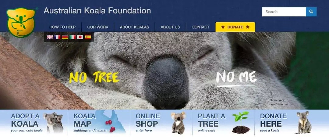 考拉领养攻略！近5亿动物葬身澳洲山火，8400只考拉消失！救救他们吧，只需$30！（组图） - 16
