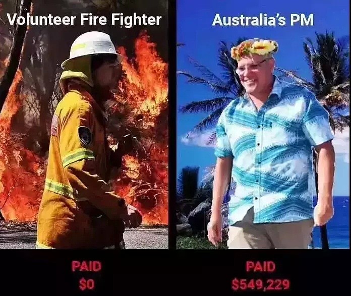 澳洲大火刷屏背后：总理在度假，一条狗却冲进火场（组图） - 1