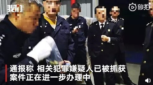 春节严查！4个多伦多包裹被中国海关截获，华人被捕！回国带物千万要小心！（组图） - 7