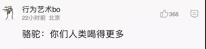 射杀骆驼因为他们喝了太多水？澳洲表示：我不是，我没有，你们真的误会了！ - 3