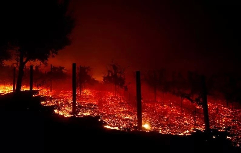 疯了？美国政府向加州山火受害者索要40亿美元巨额赔偿...（组图） - 9