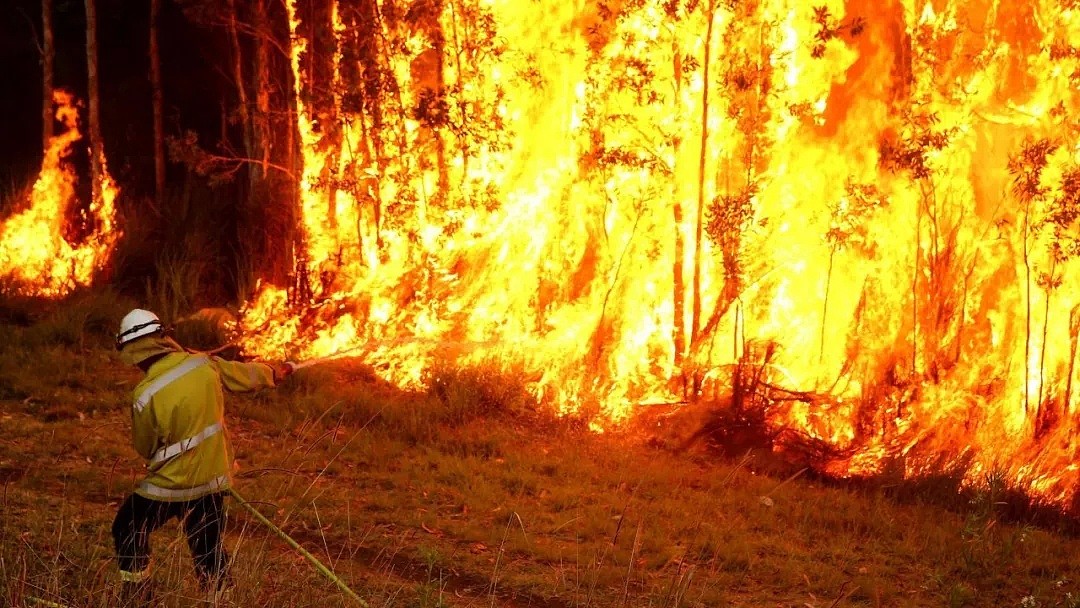 山火烧了130多天后，悉尼终于要下7天雨！而比这更感人的，是这些温暖的澳洲人...（视频/组图） - 15