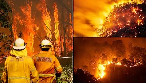 山火烧了130多天后，悉尼终于要下7天雨！而比这更感人的，是这些温暖的澳洲人...（视频/组图） - 16