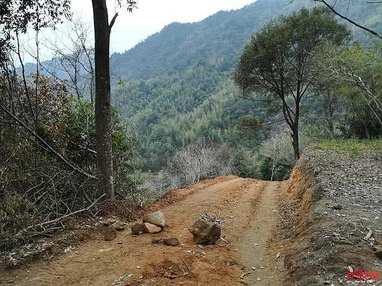 ▲农夫山泉在武夷山国家公园开挖的便道