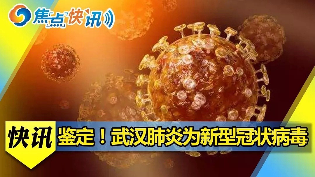 华人回国注意！新西兰卫生部就武汉疫情发布提醒，不排除人传人可能，已出现首例海外患者…（组图） - 5