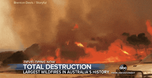 澳洲大火燃烧的第131天，1120万公顷，相当于从北京烧到了厦门...（组图） - 20