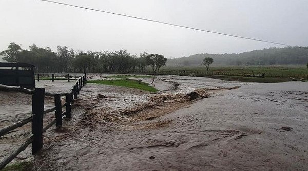 心都化了！新州久旱逢甘霖，小男孩雨中狂舞！“哇，我第一次见雨！”（视频/组图） - 3