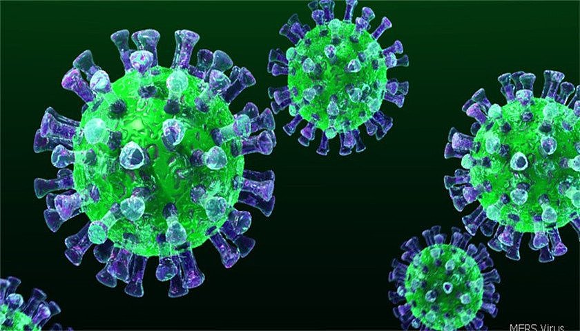 日本确认首例新型冠状病毒病例 患者曾去过武汉 - 2