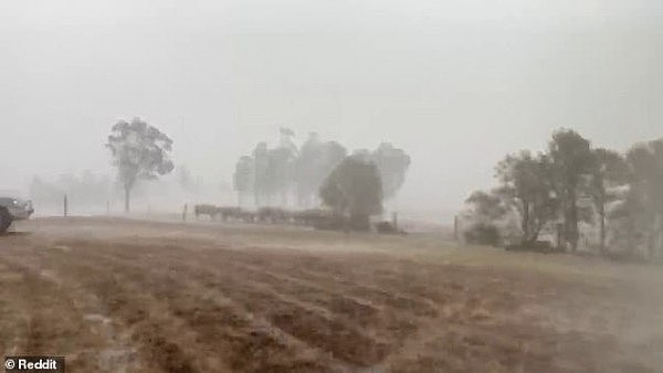 久旱甘霖！澳农民难掩兴奋，雨中狂奔，直言：“下久点雨吧！”（视频/组图） - 5