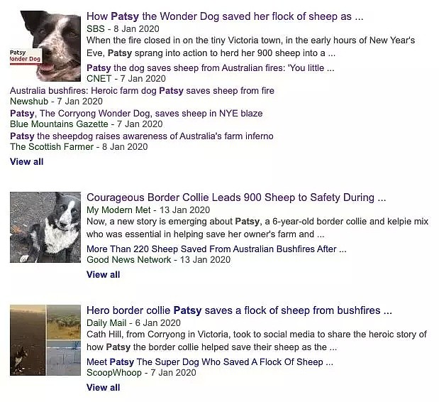 【宠物】澳洲大火杀出一个大英雄，狂救900条生命！而他，居然是只狗... - 14