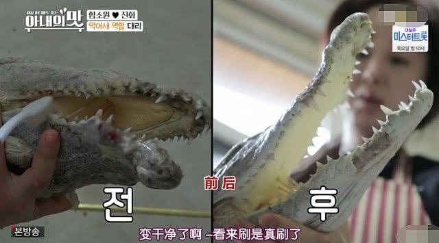 韩国女星咸素媛被中国婆婆要求洗鳄鱼，女嘉宾：还好我没嫁去中国！（组图） - 15