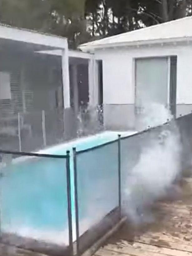 一头“死猪”从天降，被抛进阿根廷60岁百万富翁的泳池，激千层浪