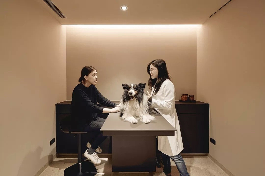 【深读】中国最美宠物医院，走进来真的感觉被“治愈”（组图） - 4