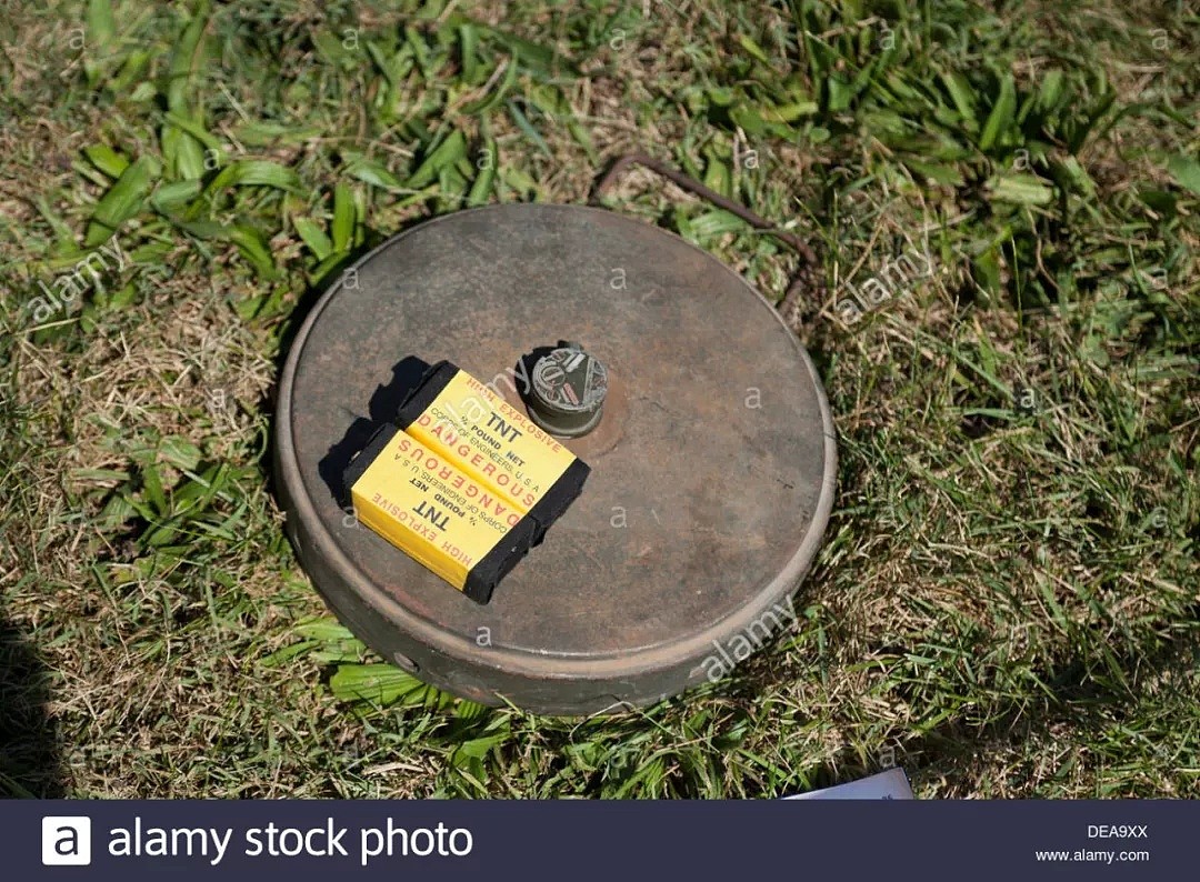 命大！女子误把二战地雷当古董捡回家，差点被炸死还以为自己捡到宝...（组图） - 9