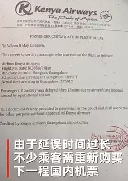 愤怒！119名中国乘客回国过年，却被强制要求搜身！只因商务舱的黑人大哥一句话...（视频/组图） - 18